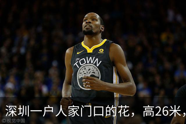 深圳一户人家门口的花，高26米，直接爬上9层楼，太壮观了